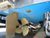 2021 Malibu Boats M240