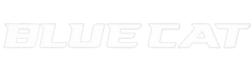 BlueCat logo